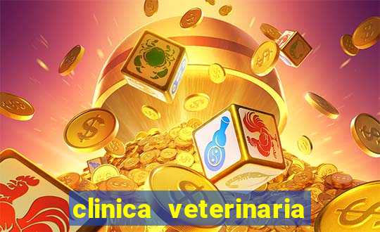 clinica veterinaria cuidar betim